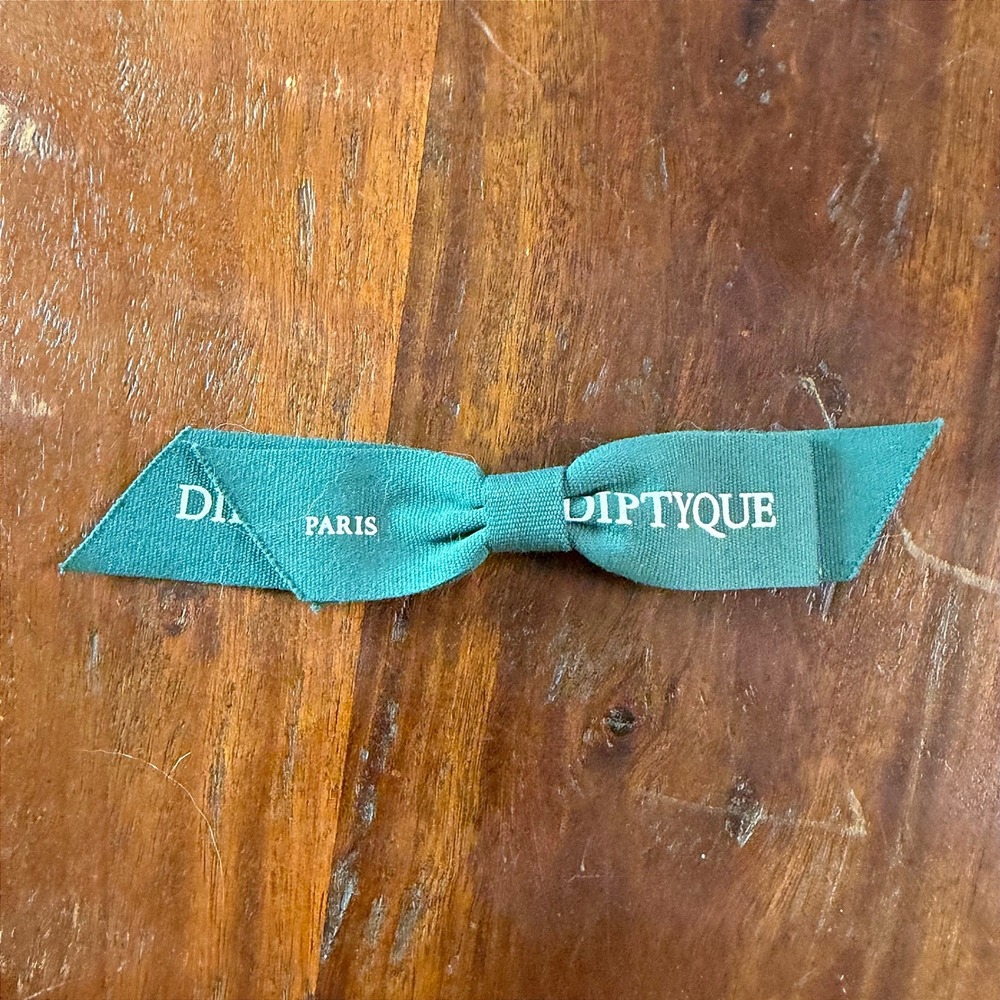 Diptyque Paris Teal Green Grosgrain Ribbon Bow Hair Clip Accessory